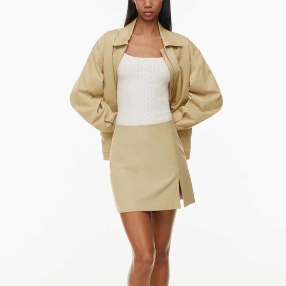 NWT Aritzia Mini Skirt